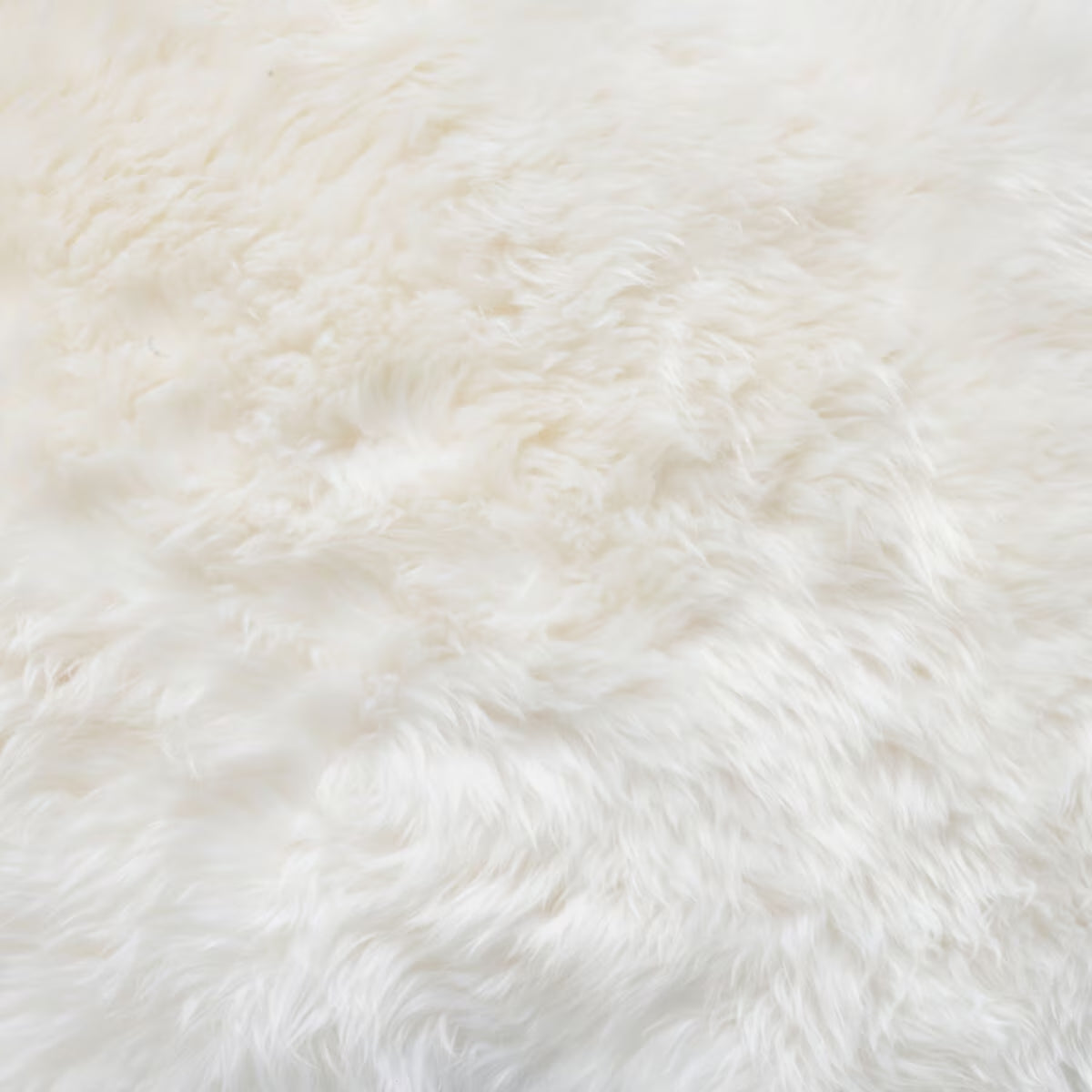 Longwool 100% Sheepskin Octo Rug, Ivory