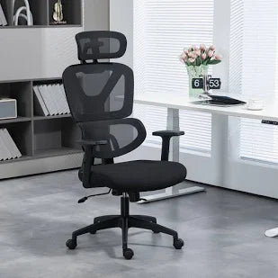 Ergonomic Chairs