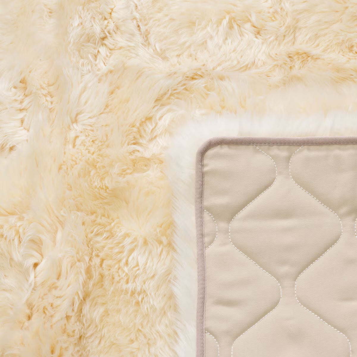 Sheepskin Area Rug 120 X 180Cm in Champagne